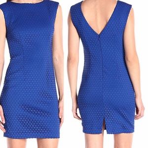 Tracy Reese Cobalt blue laser cut neoprene dress